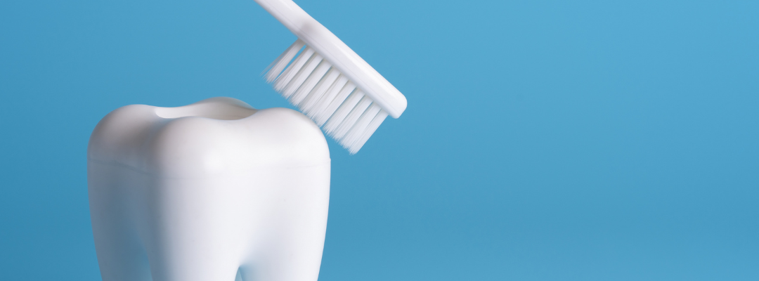 How Regular Dental Checkups Support Your Overall Health